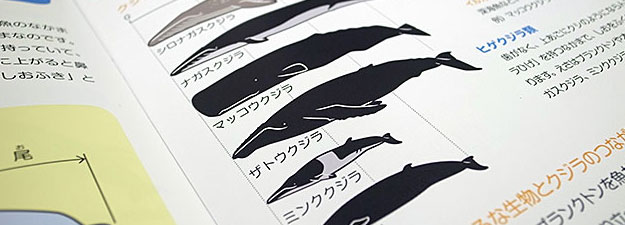 whale_book_sugata02.jpg