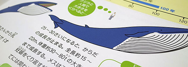 whale_book_sugata03.jpg